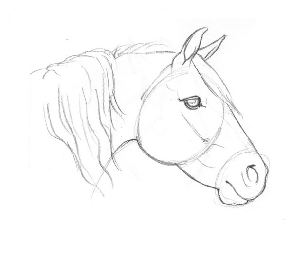 How I Draw Horses – Golden Wood Studio