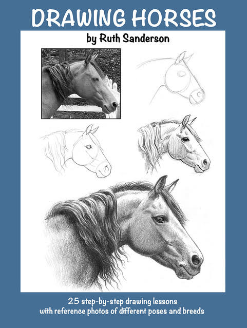 Cover of Drawing Horses by Ruth Sanderson