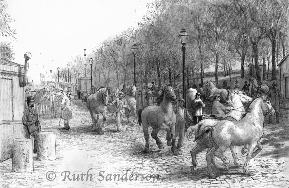 CREATING A STORM OF HORSES COVER ILLUSTRATION Golden Wood Studio