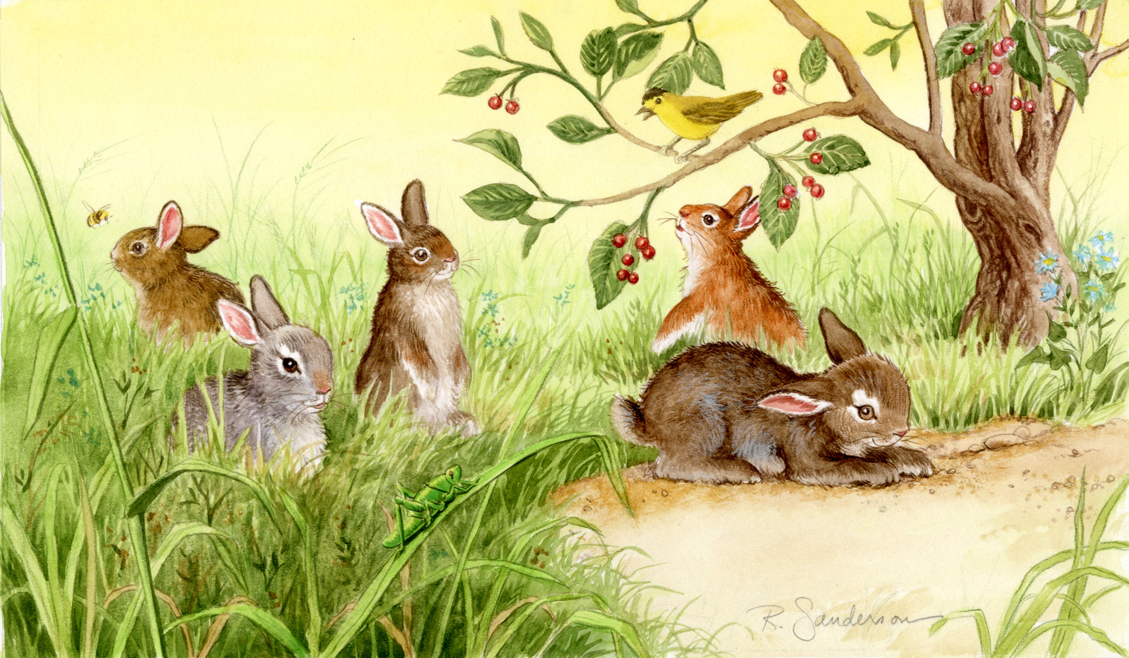 Five Little Bunnies: Listening