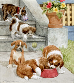 Puppies and Kittens: Puppies Playing and Eating
