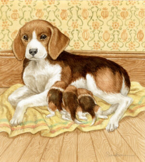 Puppies and Kittens: Beagle Mom and Pups
