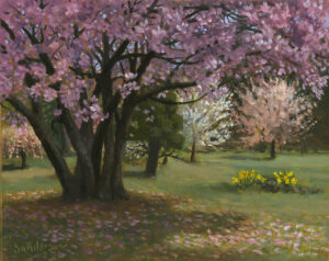 Spring at Child's Park