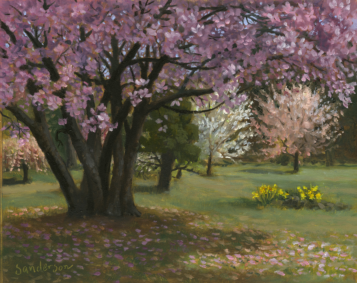 Spring at Child’s Park